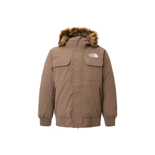 THE NORTH FACE McMurdo Мужская куртка и пальто Bomber коричневого цвета