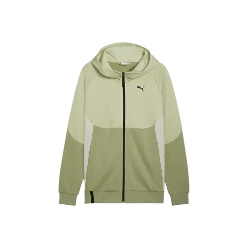 PUMA Куртки и Пальто Мужской Зеленый