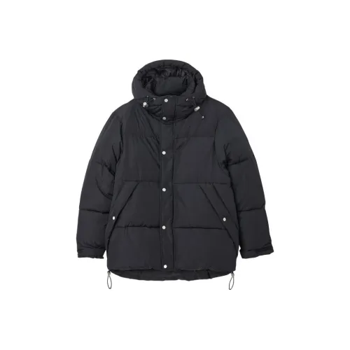 Sandro Темно-синий Мужской Пуховик