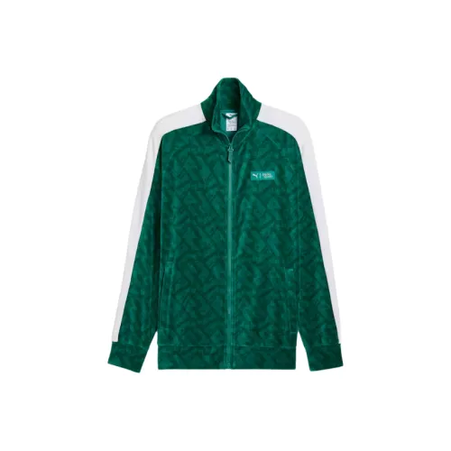 PUMA Зеленый Мужской Куртки