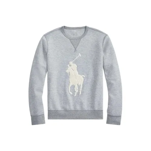 Polo Ralph Lauren FW23 Толстовка Мужской Серый