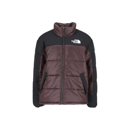 THE NORTH FACE Коричневый Мужской Куртки