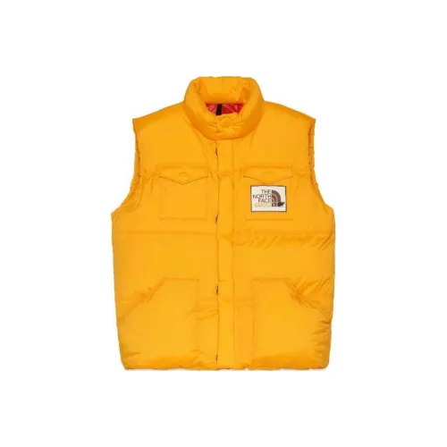 GUCCI x THE NORTH FACE Пуховик Мужской Желтый