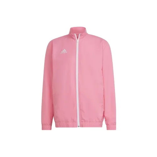 Adidas Entrada 22 Presentation TRACK TOP Куртки и пальто Мужской Розовый