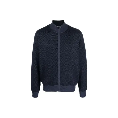 Corneliani Куртки и Пальто Мужской Синий