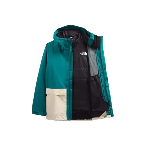 THE NORTH FACE Куртки и Пальто Мужской Синий