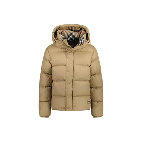 Burberry Бежевый Мужской Пуховик