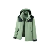 Кедр Зеленый