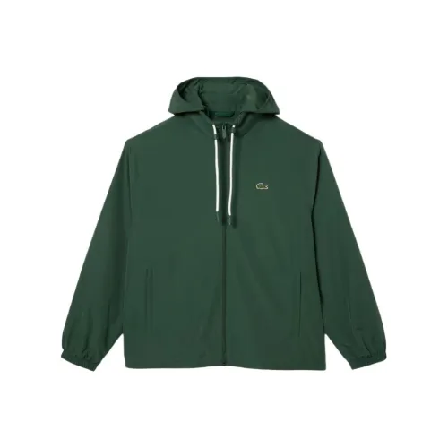 LACOSTE Темно-зеленые мужские куртки