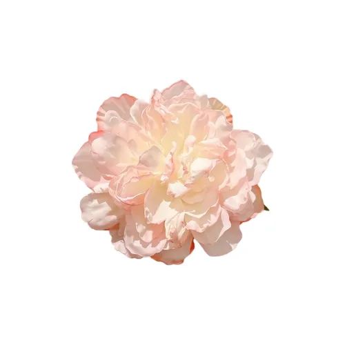 Water Jade Сплав Заколки для волос Женские