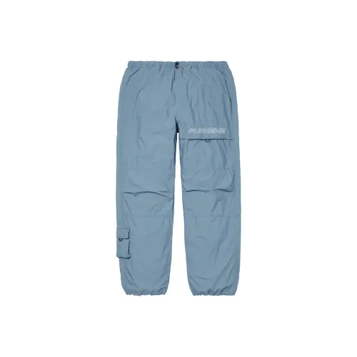 Supreme FW20 Унисекс Брюки карго