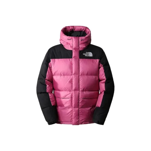 THE NORTH FACE HMLYN Down Jacket Men's SUMMIT Gold