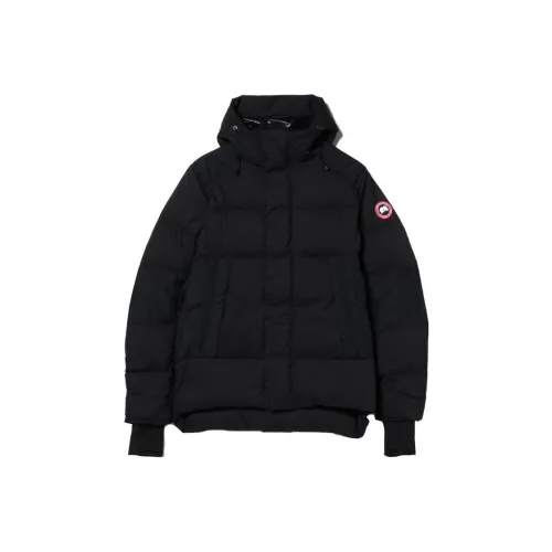 BEAMS Мужские черные куртки