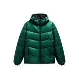 Вечнозеленый-001Z