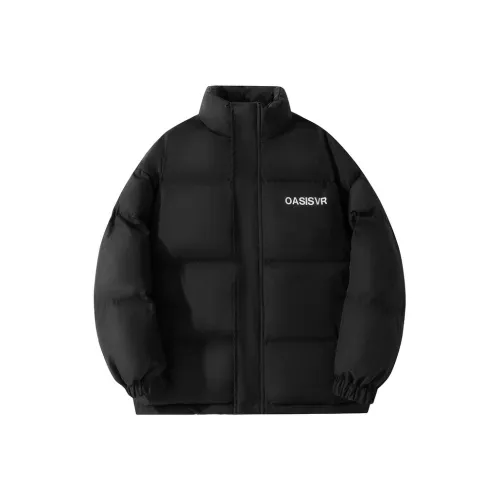 OASISVR Мужские пуховики