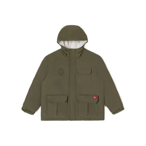 Dickies Унисекс Пуховики