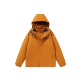 Земляной желтый