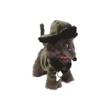 Серый северо-восточный длинно-носый пес