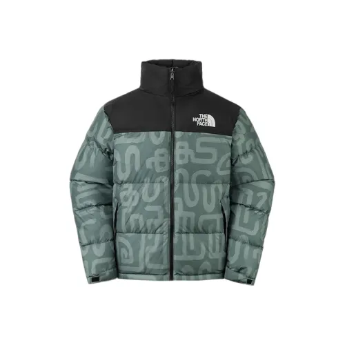 THE NORTH FACE Icon FW24 Down Jacket Unisex Green