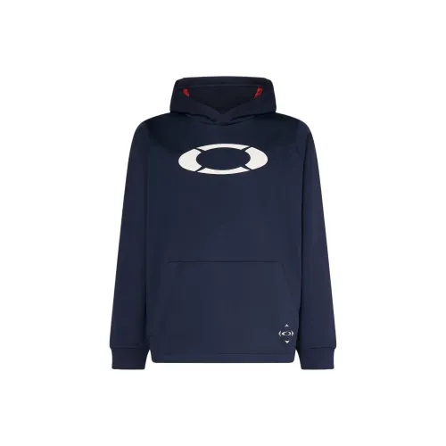 Oakley FW24 Свитшот Мужской Темно-синий