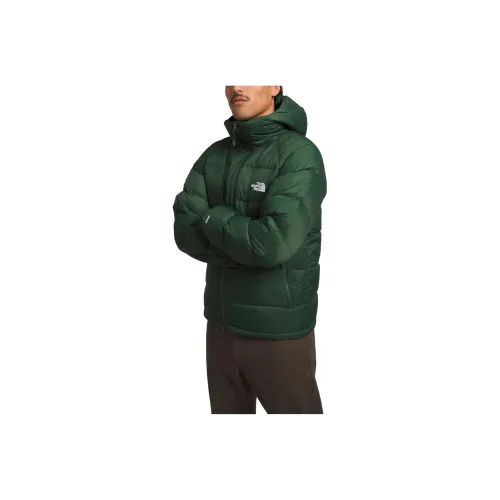 THE NORTH FACE Hydrenalite Пуховик Мужской Pine Needle