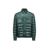 Тёмно-зелёный