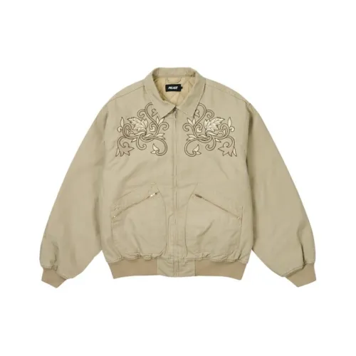 Дворцовый Праздника Лаймово-серый Унисекс Куртка