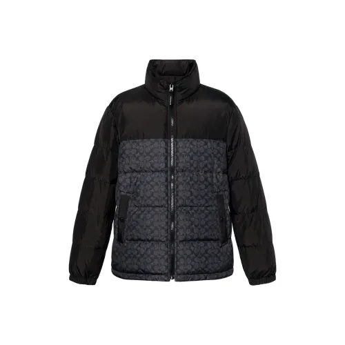COACH Черный Мужской Пуховик