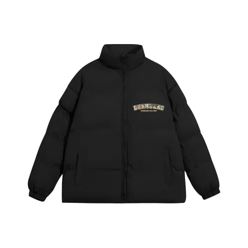 DUNHUANG INSPIRATION 2023 Winter Пуховая куртка Стена Murals Унисекс