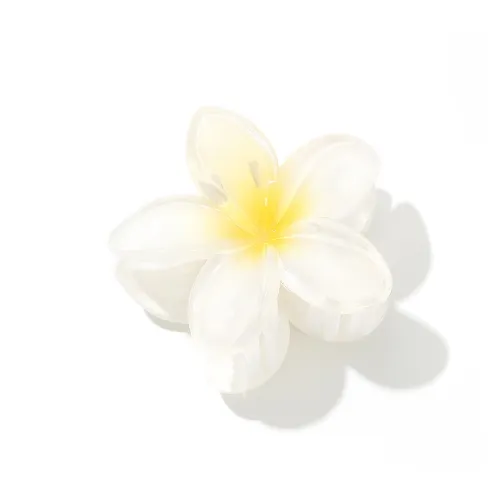 Like A Dream Акриловые заколки для волос Женские