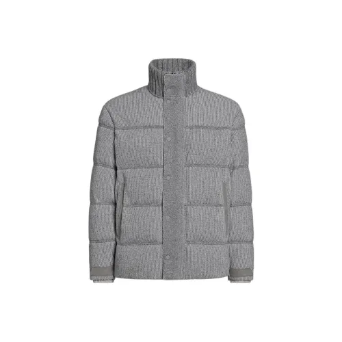 Ermenegildo Zegna Серый Мужской Пуховик