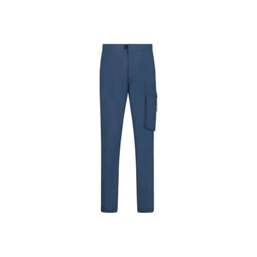 DIOR Parley Пляжные Карго Брюки Мужские Синие