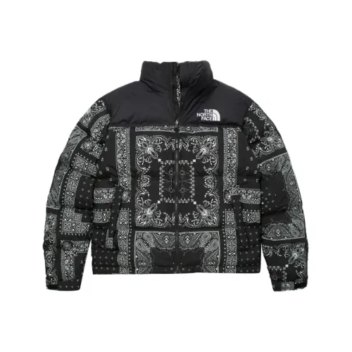 THE NORTH FACE 1996 Collection Пуховики и зимние пальто Зимний Мужской Черный
