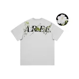 White Photinia Gray Improved  
Белая Фотиния Серая Улучшенная