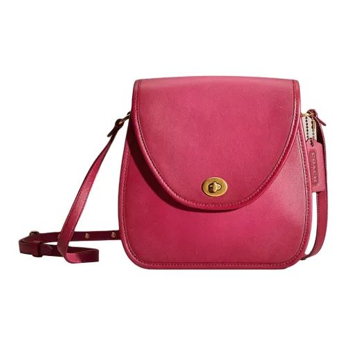 COACH Turnlock Дубленая кожа Сумка через плечо Маленькая Женская Латунь с диким цветочным узором