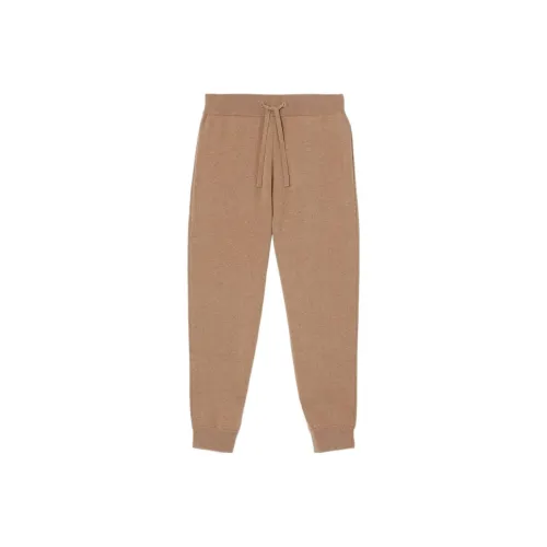 Burberry CAMEL Мужские Вязаные Спортивные Штаны
