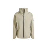 Серебристо-серый