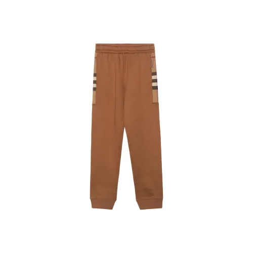 Burberry Брюки Мужские Dark Birch Brown 80475191