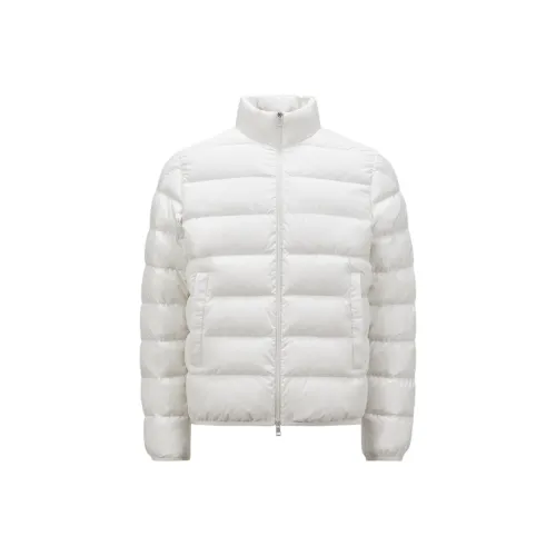 MONCLER Baudinet Series Натуральный Белый Мужской Пуховик