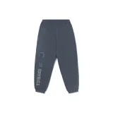 Эбеново-черный