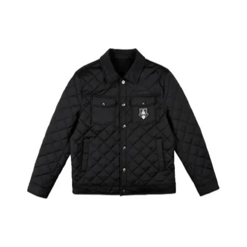 Raidy Boer Мужские пуховики