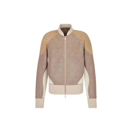 DIOR Коричневый Мужская Кожаная Куртка