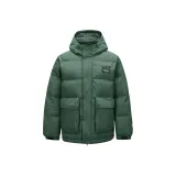 Кустарник зеленый