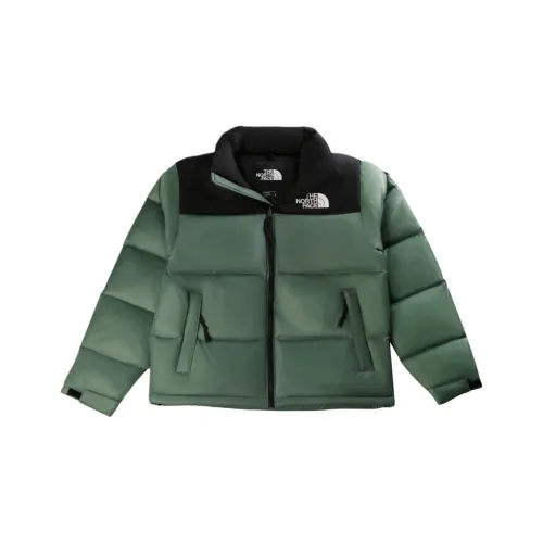 THE NORTH FACE Куртки и Пальто Мужской Зеленый
