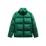 Вечнозелёный