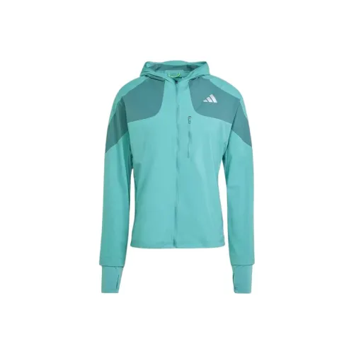 Adidas Куртки и Пальто Мужские Синие