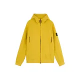 Горчичный жёлтый