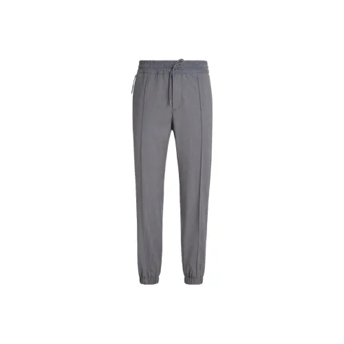 Ermenegildo Zegna Фотиния Серый Мужские Вязаные Спортивные Штаны