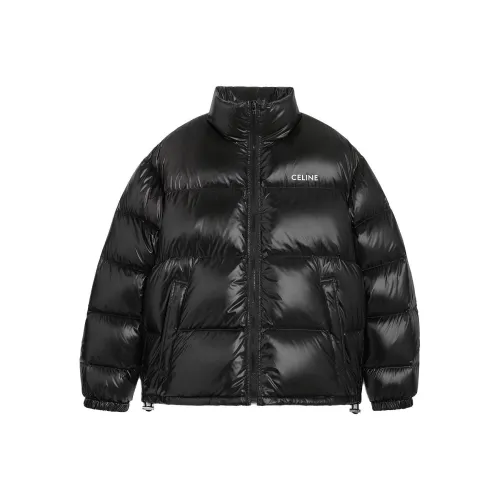Celine Черный Мужской Пуховик