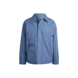 Серо-голубой